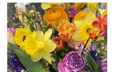 willkommen Frühjahr 2026, April-Juni